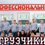 Грузчики