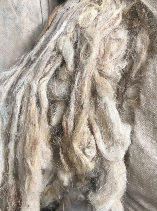 Фото Шерсть мытая полугрубая цветная светлая
