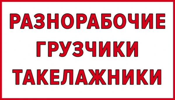 Фото Опытные грузчики