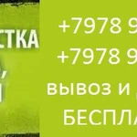 Фото №2 Химчистка ковров, мягкой мебели