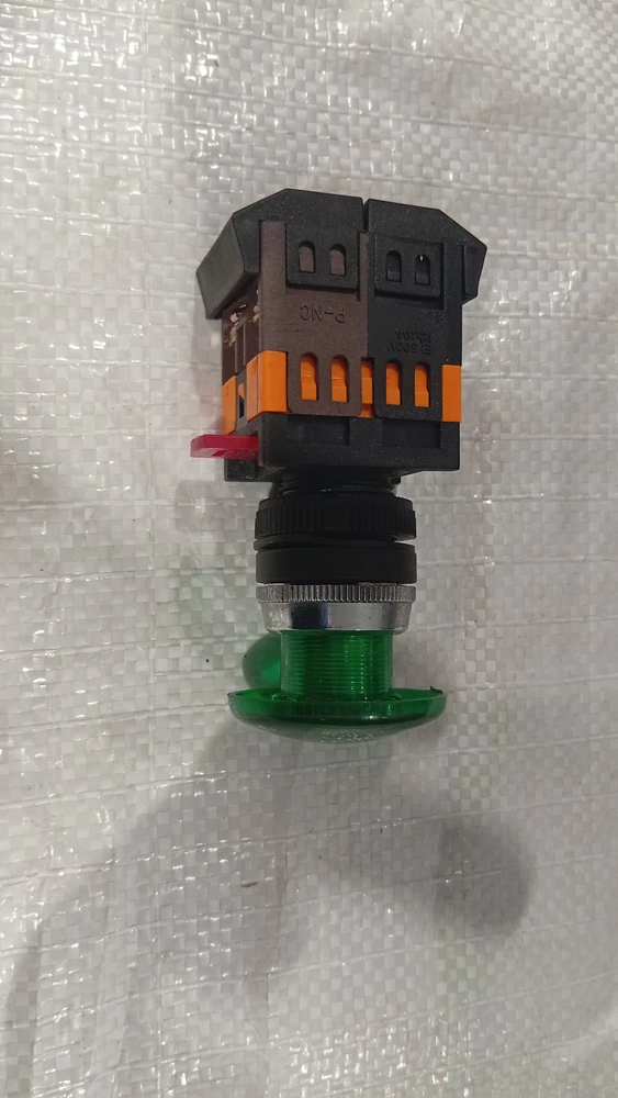 Фото Кнопка Грибок зелёный