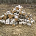 Фото №2 Дрова березовые пиленные по 30-40 см. Береза