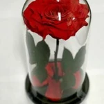 Роза в колбе стабилизированная