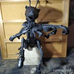 Фото №4 МУРАВЬИШКА - СКРИПАЧ!