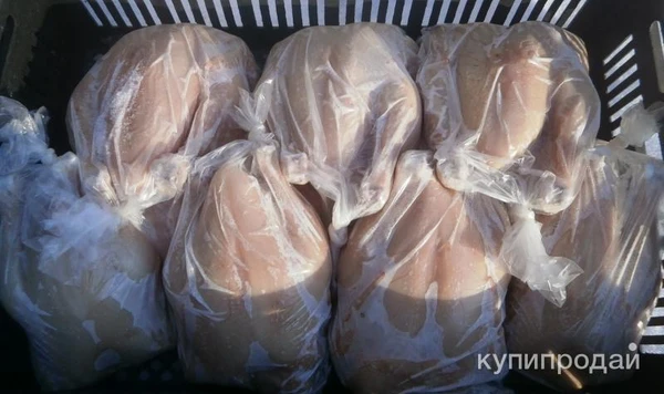 Фото Мясо фермерского бройлера