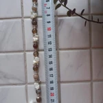 фото Браслет и серьги из агата и перламутра