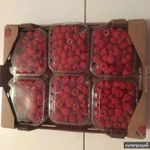 Фото №3 Свежая малина из Марокко