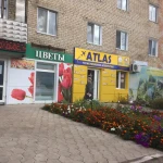 Фото №14 Широкоформатная интерьерная печать 