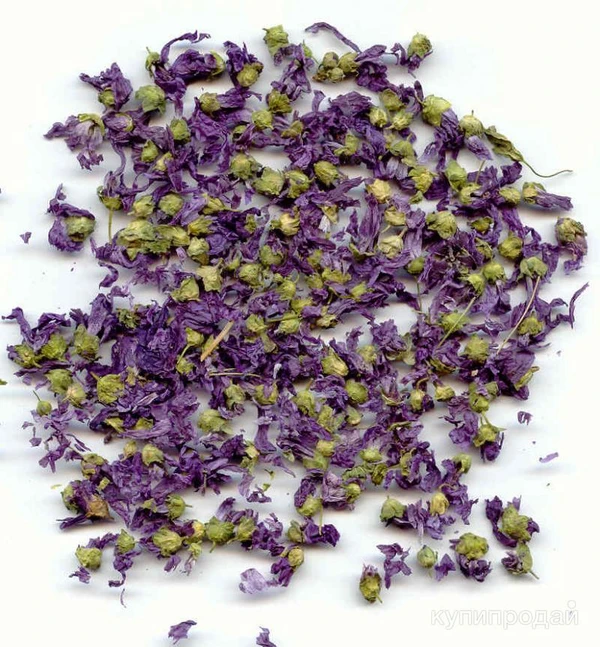 Фото Цветы мальвы сушёные