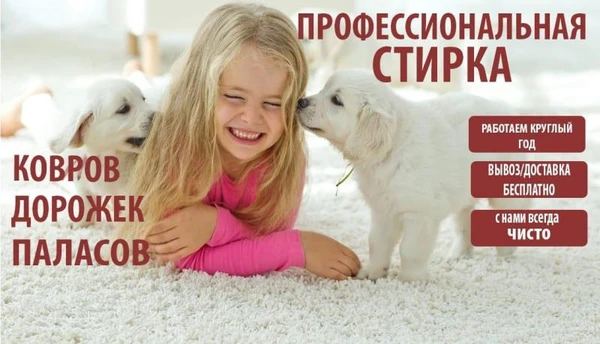 Фото Стирка ковров