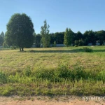 Фото №7 Продается земельный участок (Московская область)