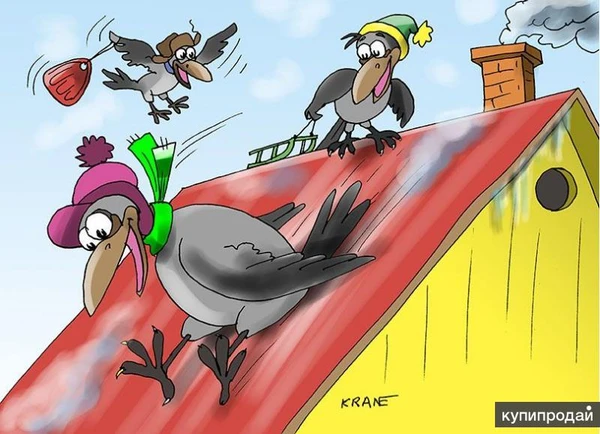 Фото Шумоизоляция крыши дома из металлочерепицы. АнтиТон