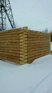 Фото Срубы из зимнего леса Омская сосна