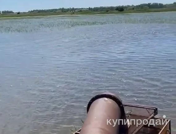 Прудовое хозяйство (рыбная ферма)