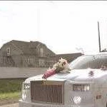 Прокат Заказ Свадьба Лимузин Rolls-Royce 10 мест