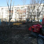 Фото №4 Измельчитель веток аренда, спил деревьев 