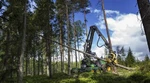 фото Сдам в аренду лесозаготовительную технику John Deere