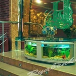 Чистка аквариумов в Алуште, Ялте и Симферополе