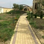 Фото №3 Укладка тротуарной плитки