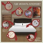 Фото №2 Обработка участка и квартир(клопы и др. вредители)