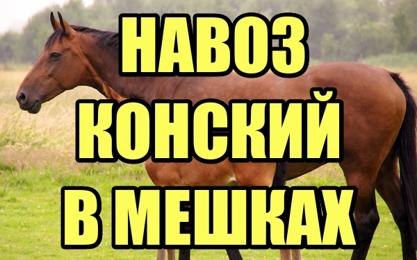 Фото Навоз конский в мешках