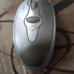 Фото №2 Мышь компьютерная.