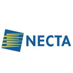 Домен для вендинга Necta.ru