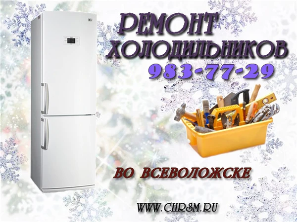 Фото Ремонт холодильников Всеволожск