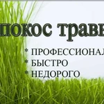 Покос травы