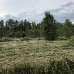 Фото №7 Требуется вспашка участка