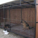 Фото №6 Вольеры для собак