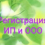 Регистрация ооо и ип