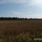 Фото №4 Участок 18ГА в кедровом заказнике