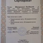 Фото №8 Груминг