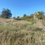 Фото №7 Лот  74578 Предлагаем к продаже участок на Северной стороне Севастополя в СНТ