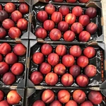 Фото №5 Продаем нектарин