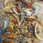 Фото №4 Свежие веточки березы, липы, ивы, осины