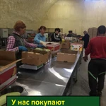 Фото №4 25-30% годовых. Инвестиции в компанию с производством.