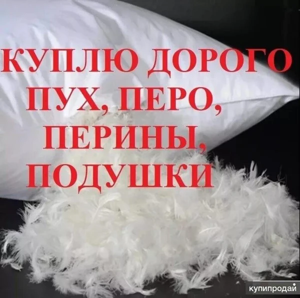 Фото ДОРОГО ПРИНИМАЕМ ! Б /у ПОДУШКИ ПЕРИНЫ ПУХ ПЕРО