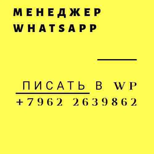 Фото Менеджер для раскрутки проекта в  WhatsApp