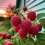 Фото №4 Строительство домов и домиков в Пензе СНТ Засека под ключ