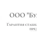 Профессиональное ведение бухучета ооо, ип акция