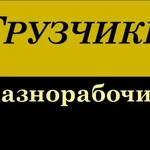 Грузчики, автотранспорт по низким ценам по Буденновску 