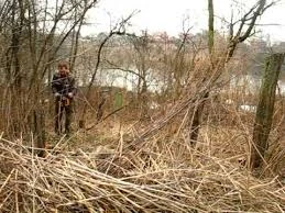 Фото Расчистка и облагораживание участков