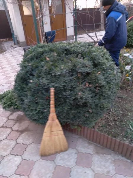 Фото Услуги садовника