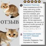 Фото №5 Гостиница для кошек САТ СIТY
