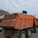 Фото №4 Дрова Берёзовые.