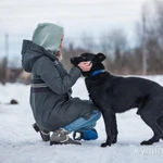 Фото №2 Обаятельный пёс Чарли в добрые руки