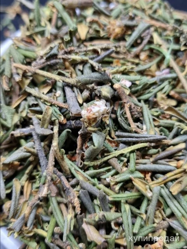 Фото Саган Дайля. Цена за 1 кг.