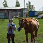 Конные прогулки фотосессия на лошадях